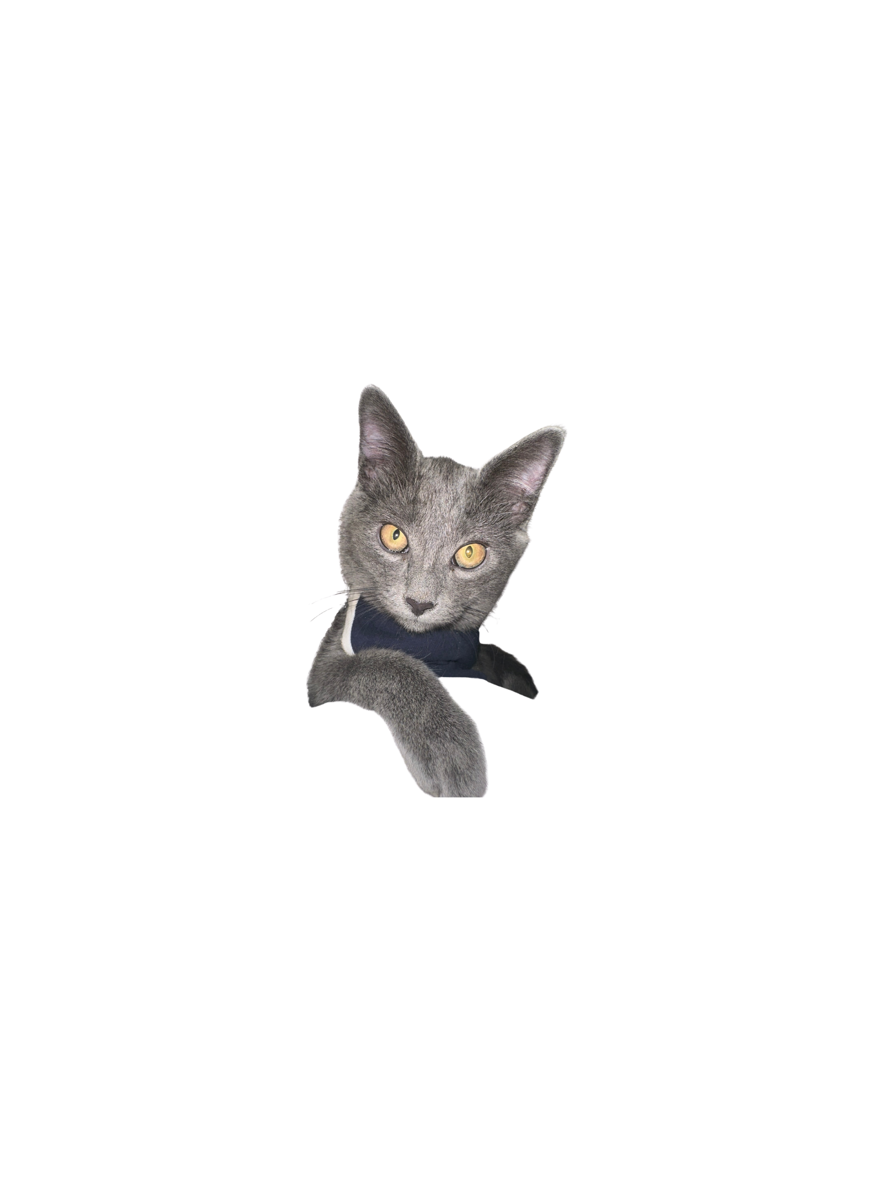 binx-cutout.png